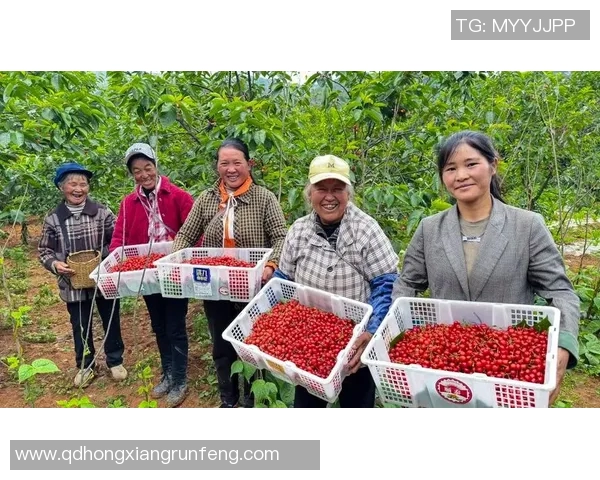 果园采摘乐：亲手体验丰收的喜悦与自然的馈赠