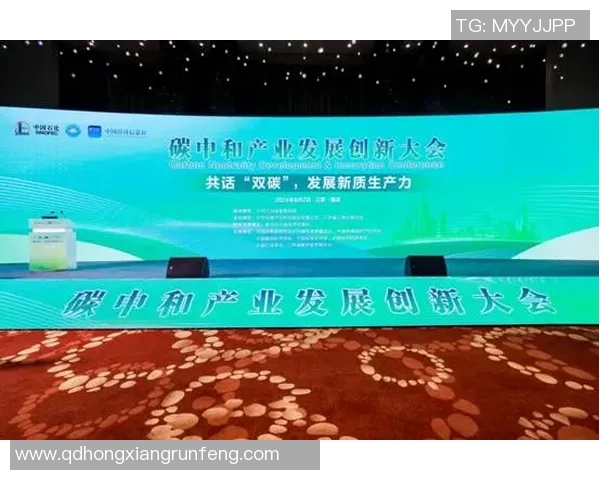 南京羽毛球队运营革新探索:从传统到现代的转型之路